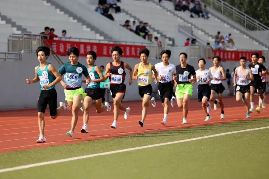 从看台到解说席：一位业余数据分析师如何用赛程观察赢得球迷认可